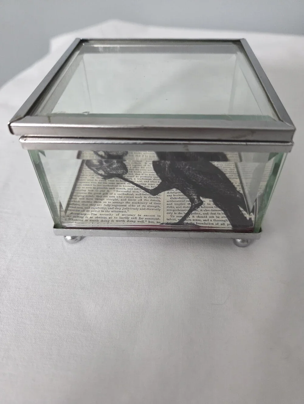 Decorative glass and metal keepsake box gothic-style a Rave and a human skull